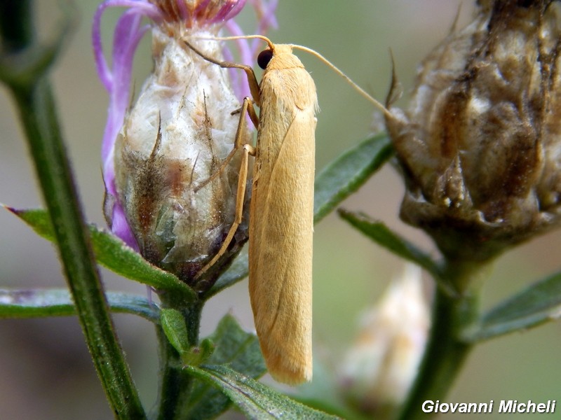 Parco del ticino : incontri del 23/8/14